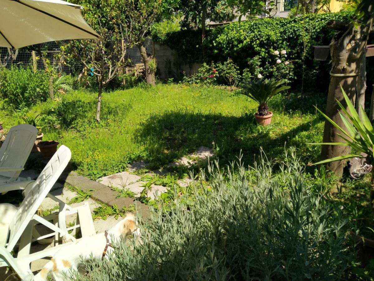 مبيت وإفطار ميتا Villino L'Aranceto Sorrentino المظهر الخارجي الصورة