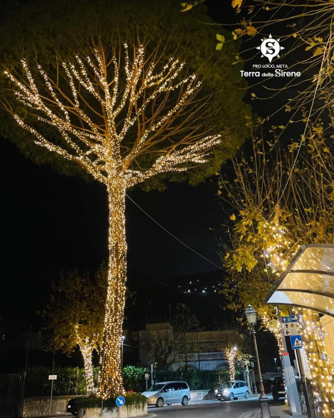 مبيت وإفطار ميتا Villino L'Aranceto Sorrentino المظهر الخارجي الصورة