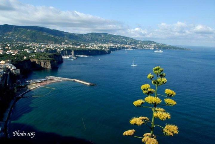 مبيت وإفطار ميتا Villino L'Aranceto Sorrentino المظهر الخارجي الصورة
