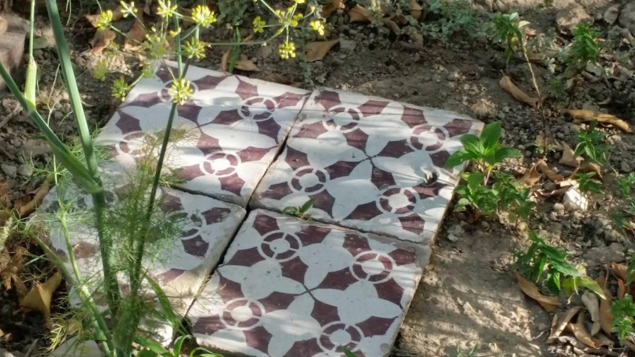مبيت وإفطار ميتا Villino L'Aranceto Sorrentino المظهر الخارجي الصورة