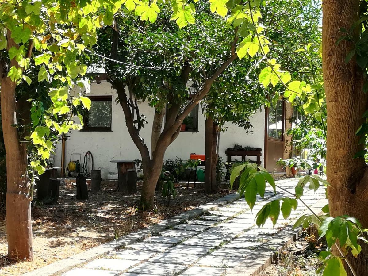 مبيت وإفطار ميتا Villino L'Aranceto Sorrentino المظهر الخارجي الصورة