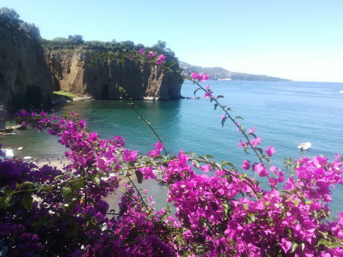 مبيت وإفطار ميتا Villino L'Aranceto Sorrentino المظهر الخارجي الصورة